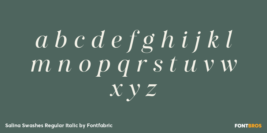 Salina Swashes Regular Italic Font Poster #3