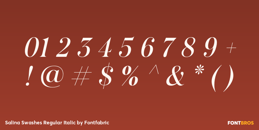 Salina Swashes Regular Italic Font Poster #4