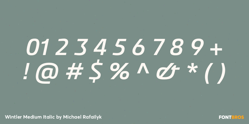 Wintler Medium Italic Font Poster #1