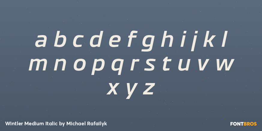 Wintler Medium Italic Font Poster #1