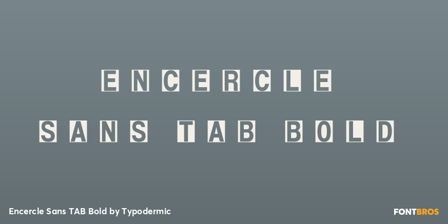 Encercle Sans TAB Bold Font Poster #1