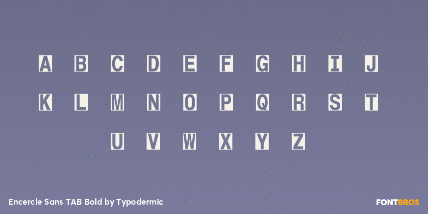 Encercle Sans TAB Bold Font Poster #2