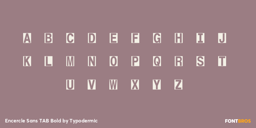 Encercle Sans TAB Bold Font Poster #3