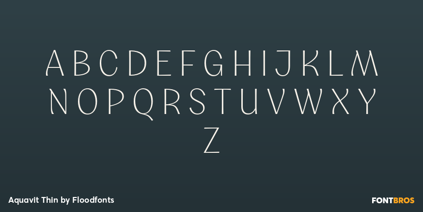Aquavit Thin Font Poster #2