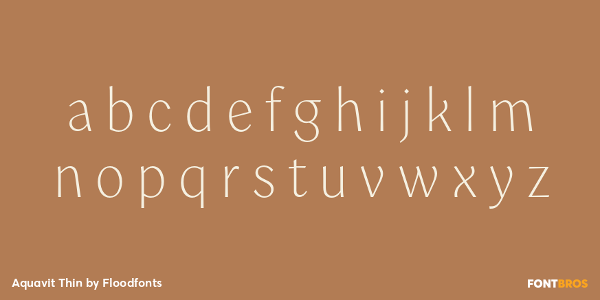 Aquavit Thin Font Poster #1