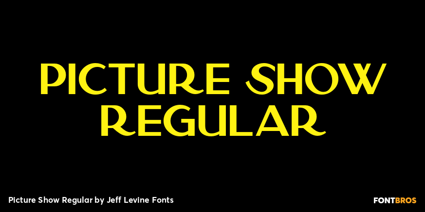 Picture Show Regular Poster