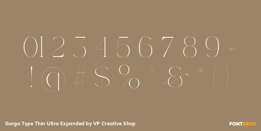 Gorga Type Thin Ultra Expanded Font Poster #4