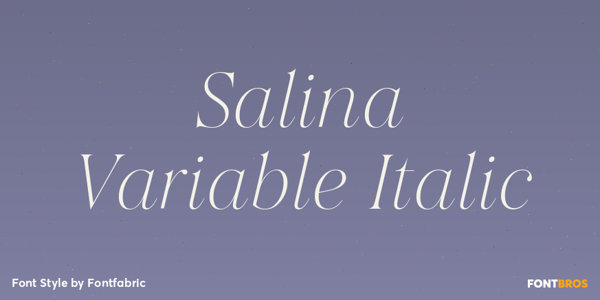 Salina Variable Italic Poster