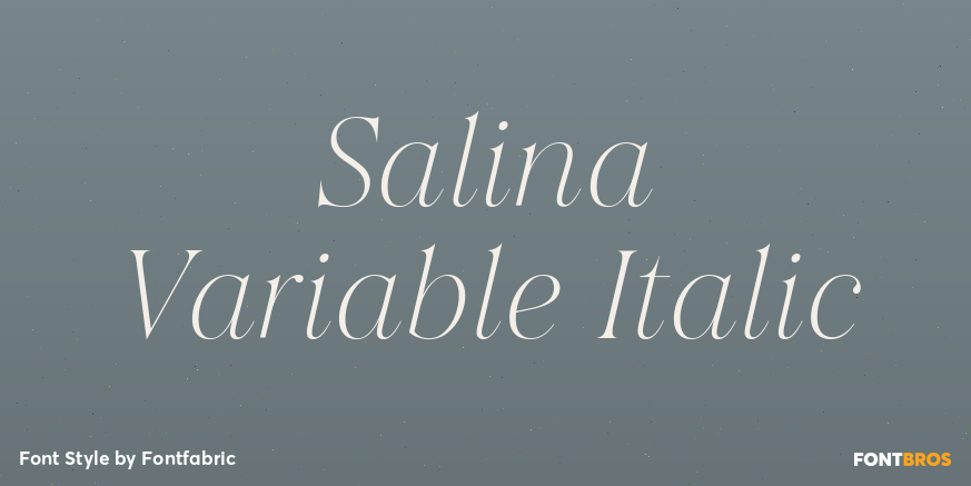 Salina Variable Italic Poster