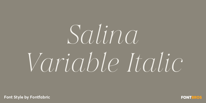 Salina Variable Italic Poster