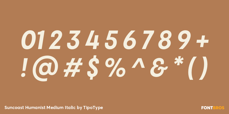 Suncoast Humanist Medium Italic Font Poster #4