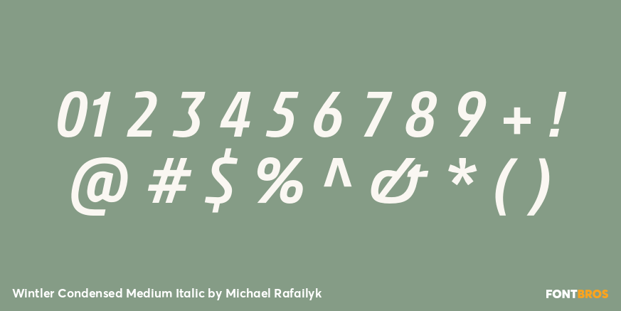 Wintler Condensed Medium Italic Font Poster #1