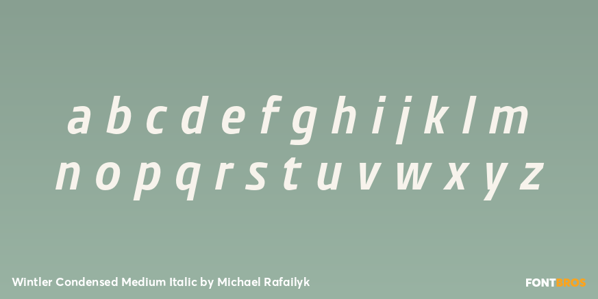 Wintler Condensed Medium Italic Font Poster #3