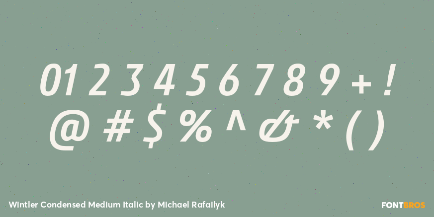 Wintler Condensed Medium Italic Font Poster #4