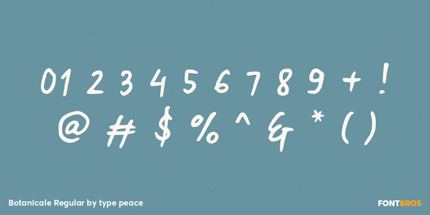 Botanicale Regular Font Poster #4