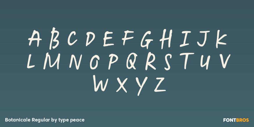 Botanicale Regular Font Poster #2