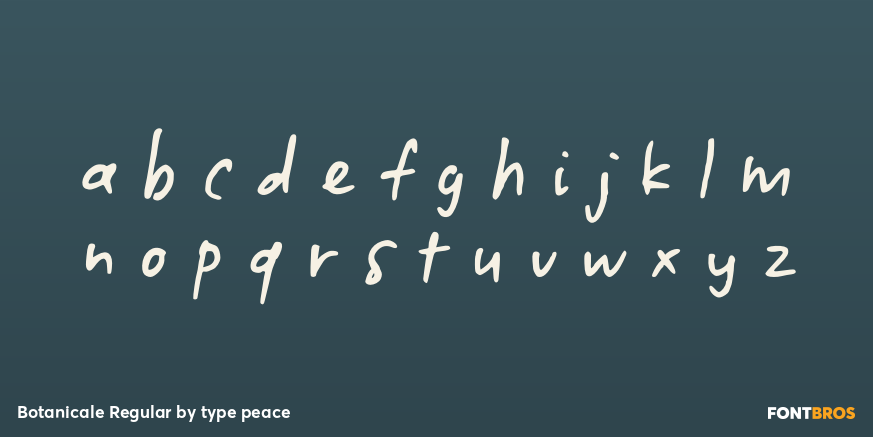 Botanicale Regular Font Poster #3
