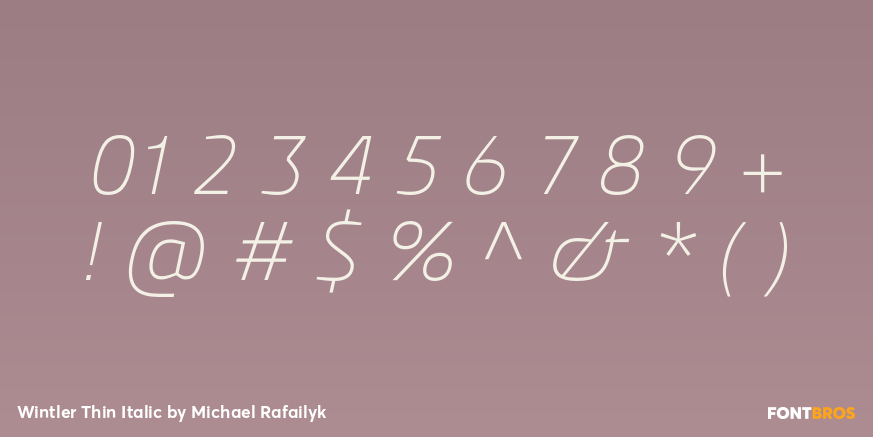 Wintler Thin Italic Font Poster #1