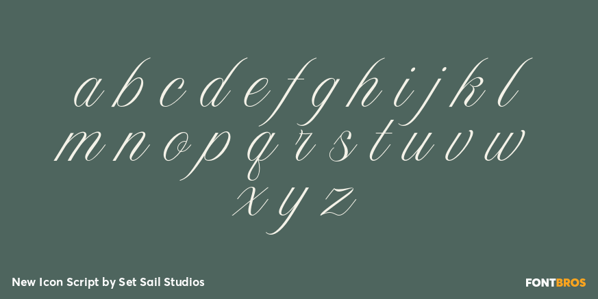 New Icon Script Font Poster #3