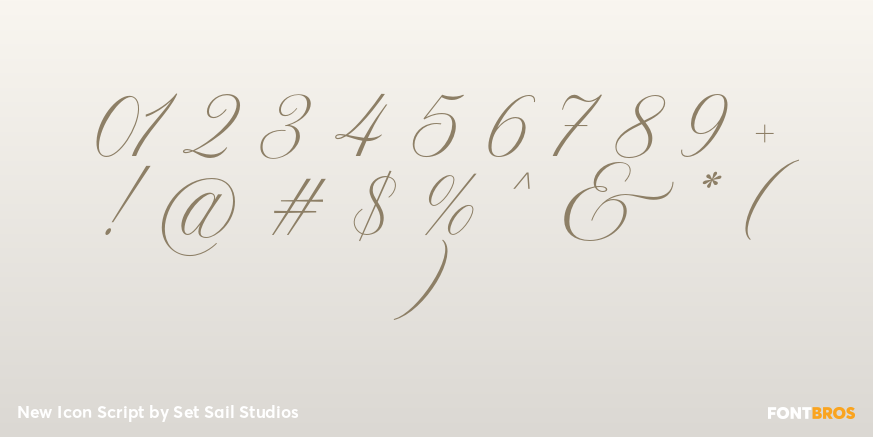 New Icon Script Font Poster #4