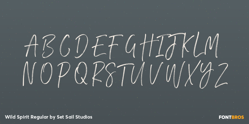 Wild Spirit Regular Font Poster #2