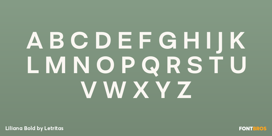 Liliana Bold Font Poster #2