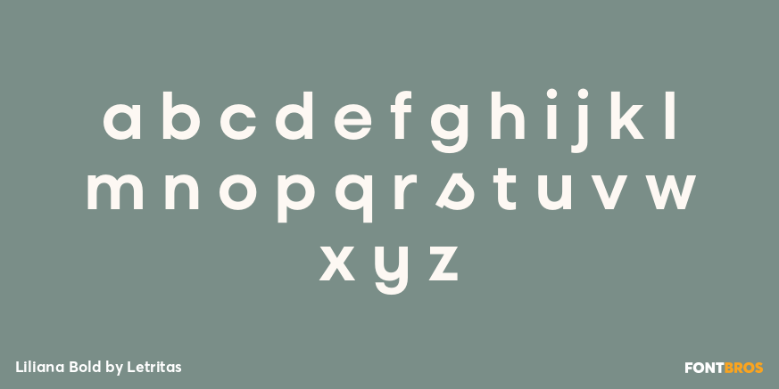 Liliana Bold Font Poster #3