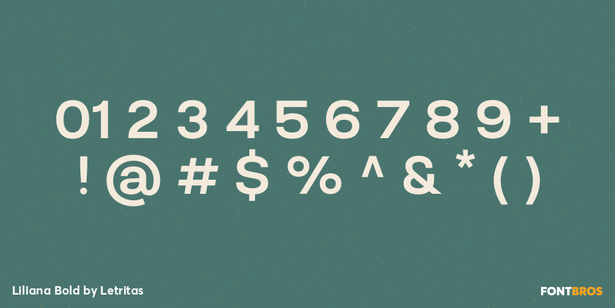 Liliana Bold Font Poster #4