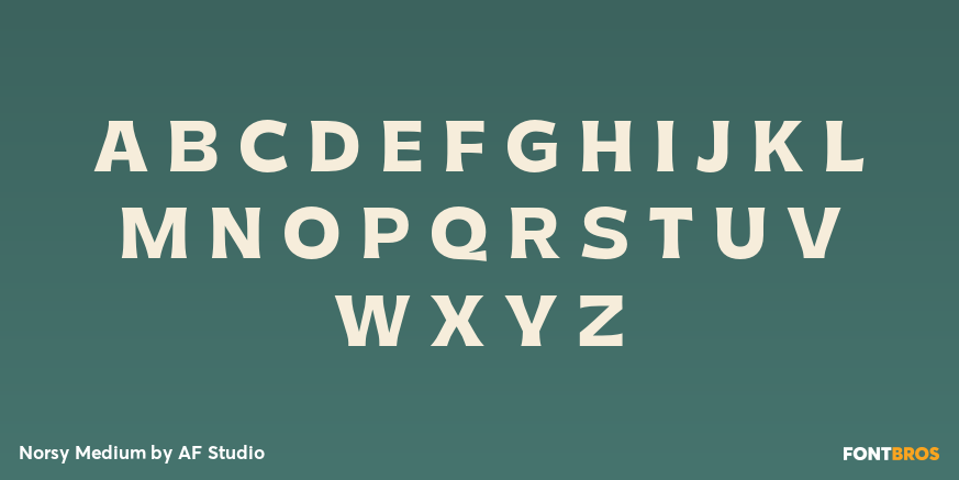 Norsy Medium Font Poster #2