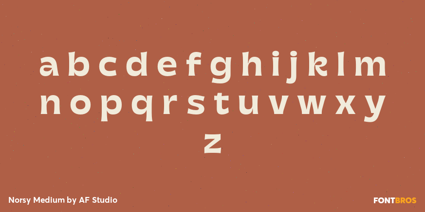 Norsy Medium Font Poster #3