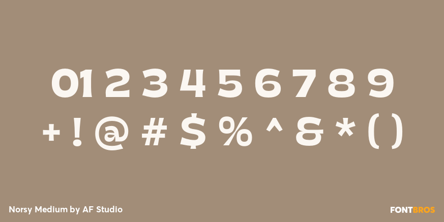 Norsy Medium Font Poster #4