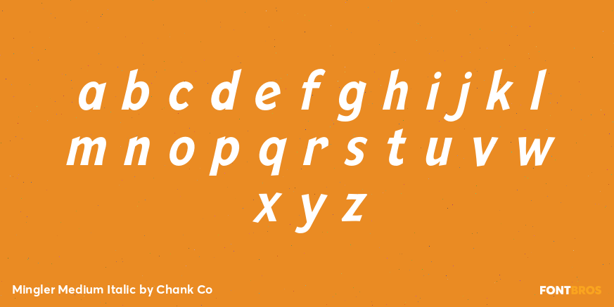 Mingler Medium Italic Font Poster #1