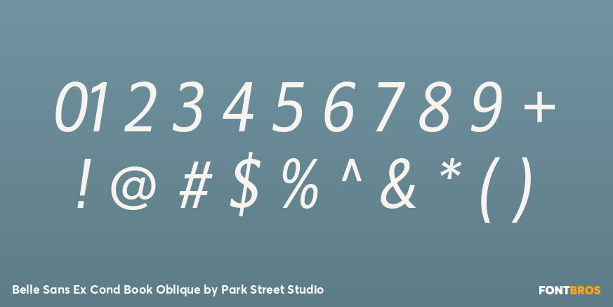 Belle Sans Ex Cond Book Oblique Font Poster #4