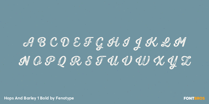 Hops And Barley 1 Bold Font Poster #2