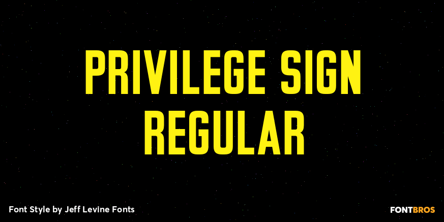 Privilege Sign Regular Poster