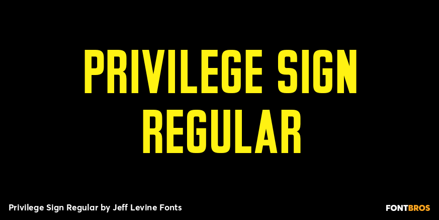 Privilege Sign Regular Poster
