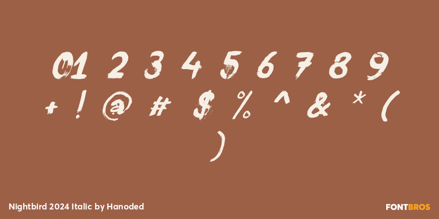 Nightbird 2024 Italic Font Poster #4