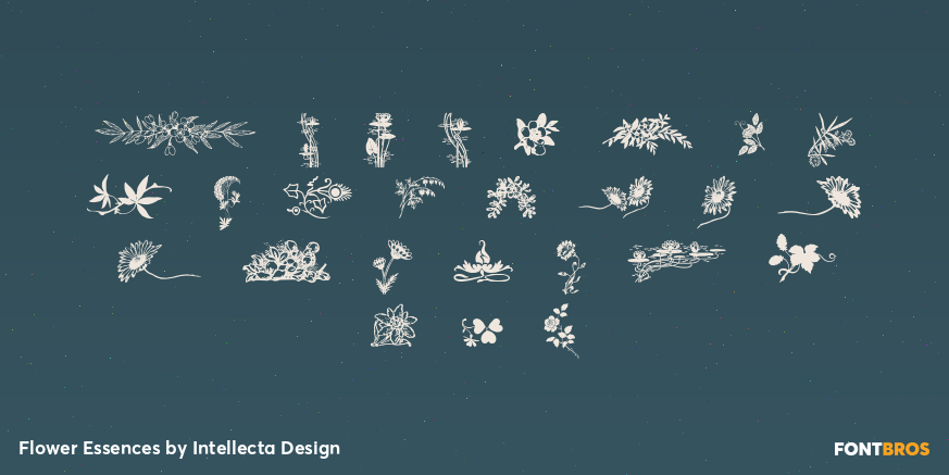 Flower Essences Font Poster #2