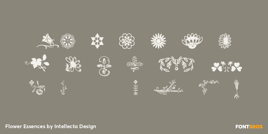 Flower Essences Font Poster #4