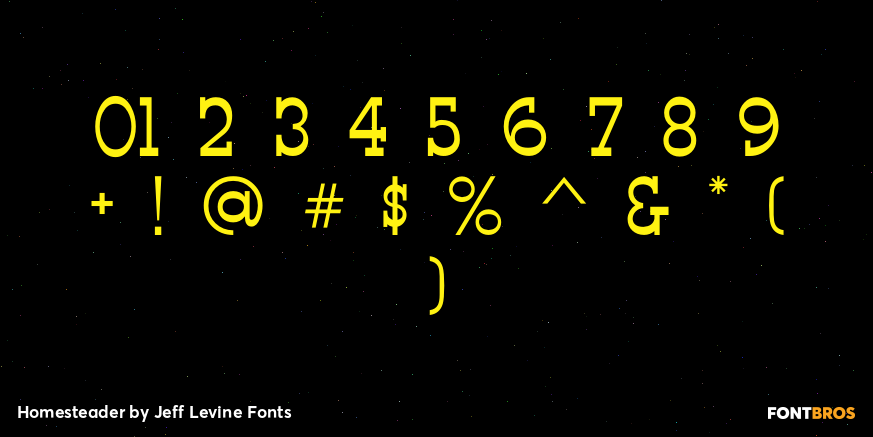 Homesteader Font Poster #4