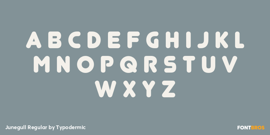 Junegull Regular Font Poster #1