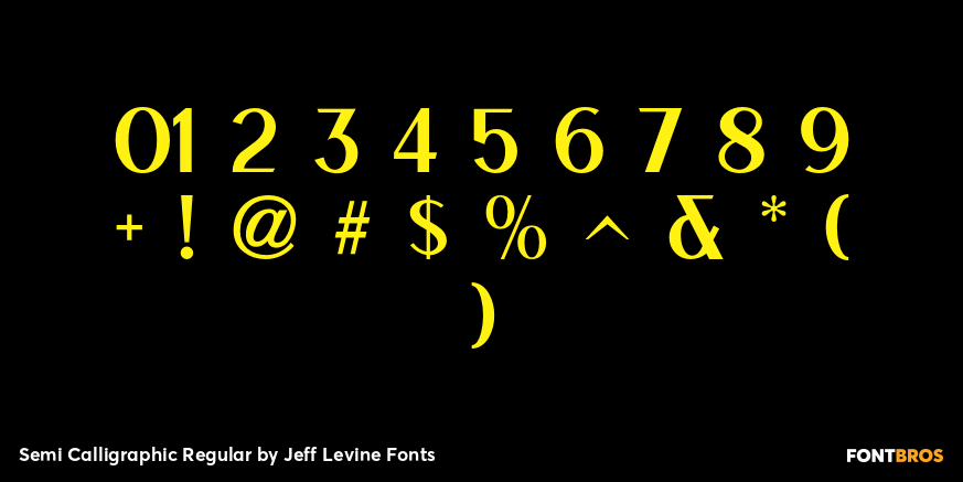 Semi Calligraphic Regular Font Poster #4