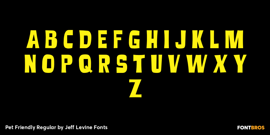 Pet Friendly Regular Font Poster #3