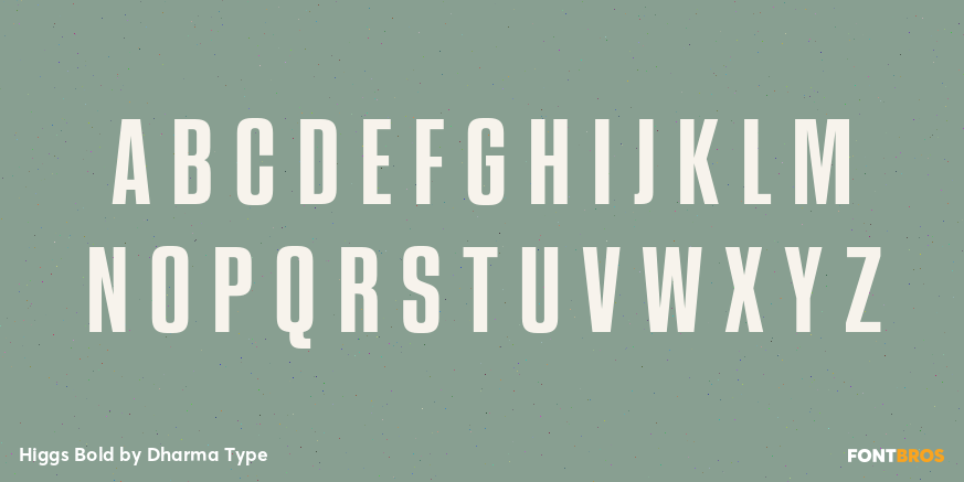 Higgs Bold Font Poster #2