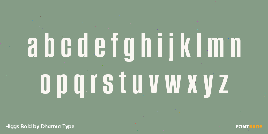 Higgs Bold Font Poster #3