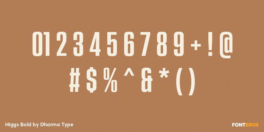 Higgs Bold Font Poster #4