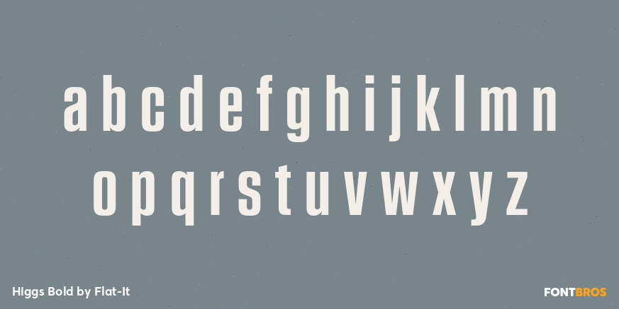 Higgs Bold Font Poster #3