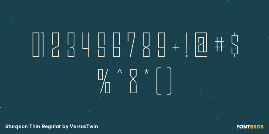 Sturgeon Thin Regular Font Poster #4