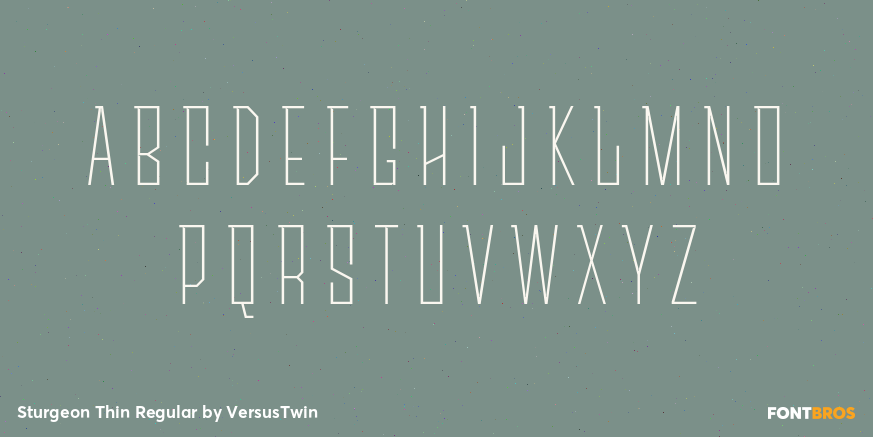 Sturgeon Thin Regular Font Poster #1