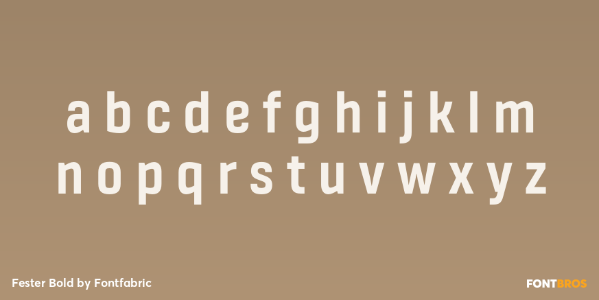 Fester Bold Font Poster #3